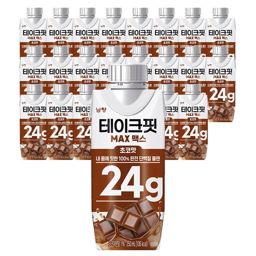테이크핏 맥스 초코맛 프로틴