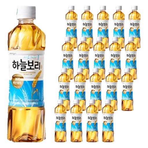 옵션 2 사진