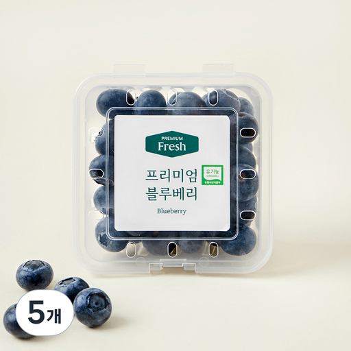 프리미엄 유기농 블루베리 대과