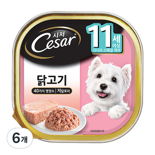 시저 시니어 강아지 주식캔