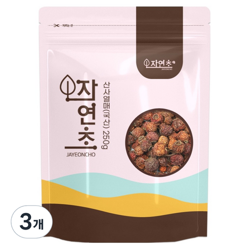산사 산사나무 열매