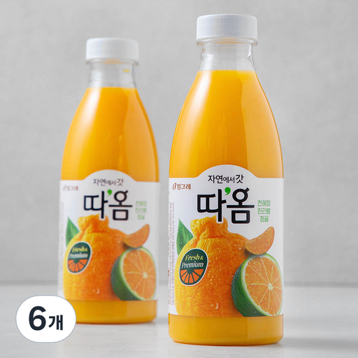 따옴 천혜향 한라봉 청귤 주스