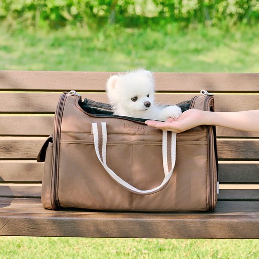 울리 반려동물 숨쉬는 이동가방