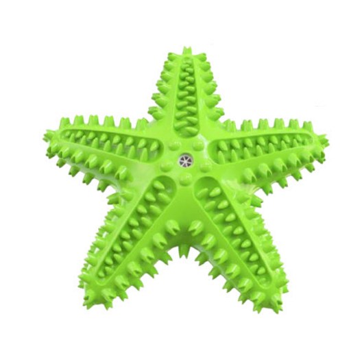 바이두루 반려동물 별모양 칫솔 장난감 16.5 x 4.1 cm