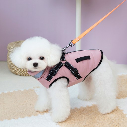 쿠펫츠 강아지 경량패딩