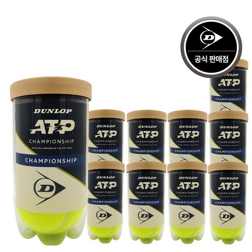 2025 던롭 챔피언십 ATP 테니스공 10캔 (20볼)