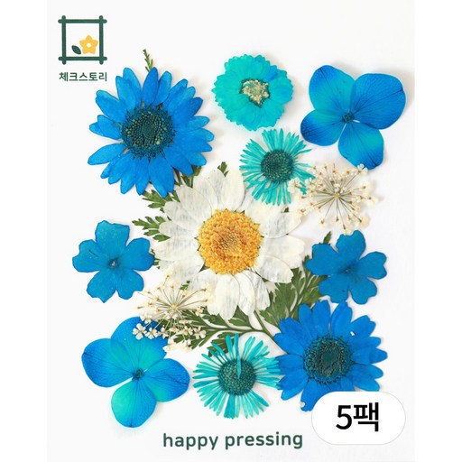 체크스토리 압화 레인보우압화 종합팩 조화 꽃송이 압화공예재료 수업재료 방과후수업 자연물놀이