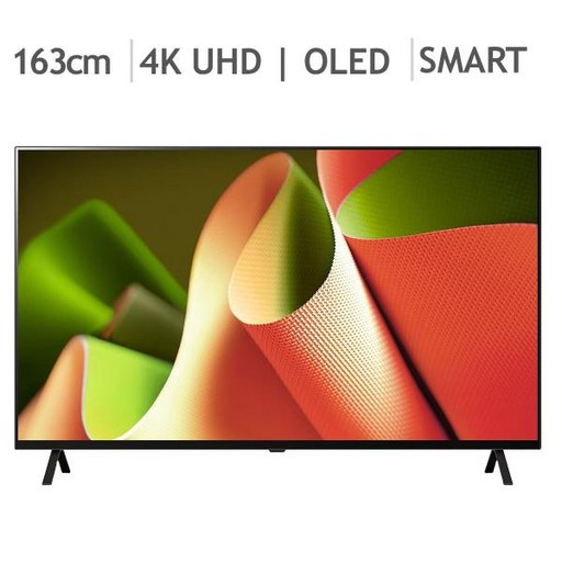 엘지 OLED TV 65B4SNA 163cm (65) - 벽걸이형 코스트코코리아정품, 스탠드형, one option