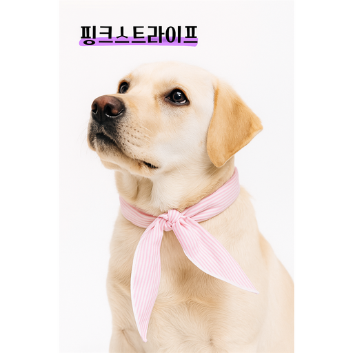 sobromom 더위해방 반려견아이스스카프 반려견 냉스카프 반려동물 아이스타올