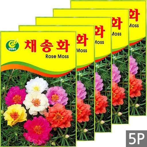 세인화분 채송화 250립