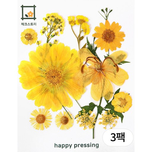 체크스토리 압화 미니컬러믹스 방과후수업 자연물놀이 꽃송이