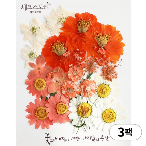 체크스토리 압화 누름꽃 꽃송이 압화공예 종합팩