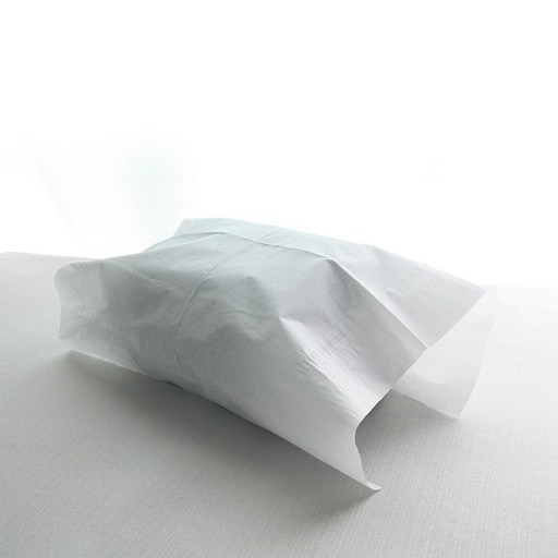 일회용 위생 페이퍼-1000장 400*365 병원 한의원 피부샵 진료 안면 베개 워터 시트 깔개 커버 턱받이 안면지