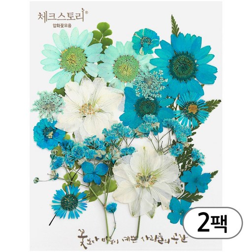 체크스토리 압화 컬러믹스 꽃모음 압화공예 2팩