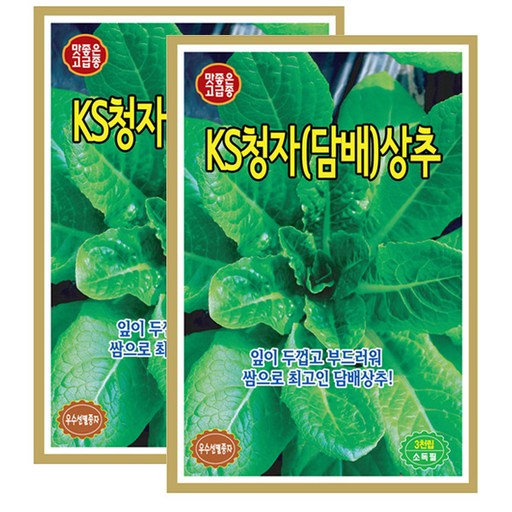세인화분 아삭한 담배상추씨앗 3000립 쌈채소 채소씨앗 담배 상추 씨앗