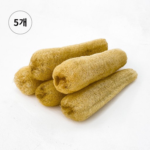 잘라쓰는 리얼 천연 수세미 루파 주방 설거지 친환경 진짜 5개 세트