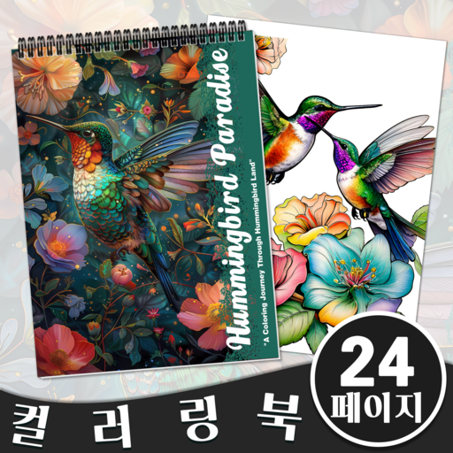 벌새의 기쁨 성인용 컬러링북 색칠하기와 스트레스 해소를 위한 고급 그림색칠하기 성인 컬러 북 어른 취미생활 초보 컬러링북 최적의 색칠공부 경험
