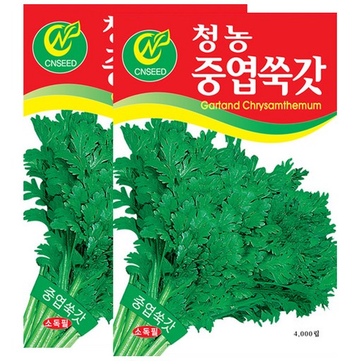 세인화분 중엽쑥갓 4000립 - 쑥갓씨 쑥갓씨앗