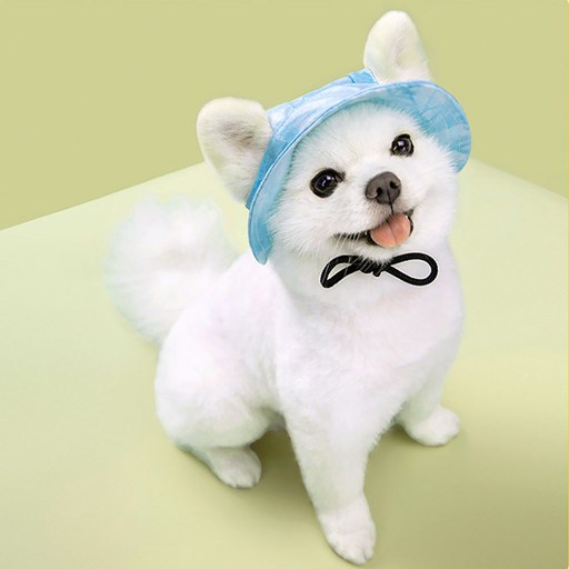 헬로미펫 강아지 모자 고양이 모자 반려동물 애견 모자 썬캡