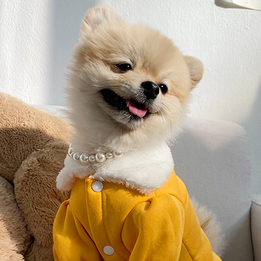 데댕 강아지 고양이 수제 진주목걸이