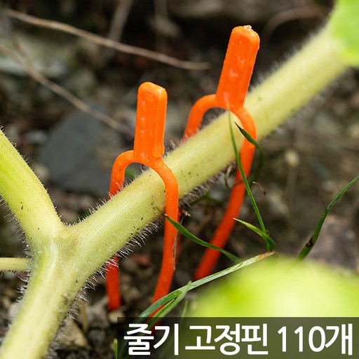 세인화분 화분 식물 줄기 고정 핀 110P - 고정핀 넝쿨 뿌리 고정클집게 립 딸기 수박 덩쿨 홀더 지지대 보강핀 유인핀 런너핀 러너핀 지주대