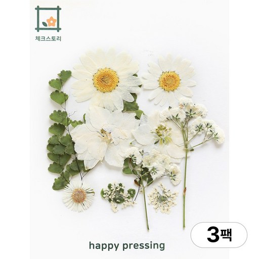 체크스토리 압화 컬러가든시리즈 누름꽃 꽃송이 압화재료 공예