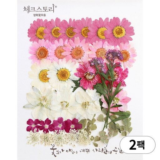 체크스토리 압화 누름꽃 꽃송이 압화공예 종합팩