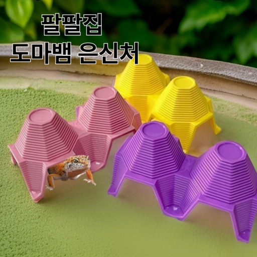 팔팔집 도마뱀 은신처