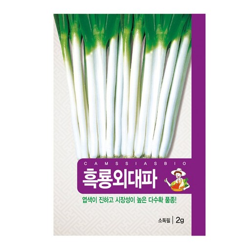 흑룡외 대파 씨앗