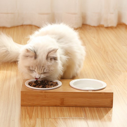 PETide 반려동물 도자기 다블 밥그릇