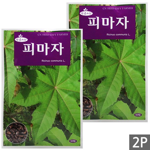세인화분 피마자 50립