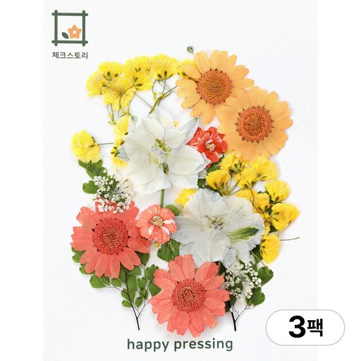 체크스토리 압화 컬러가든시리즈 누름꽃 꽃송이 압화재료 공예