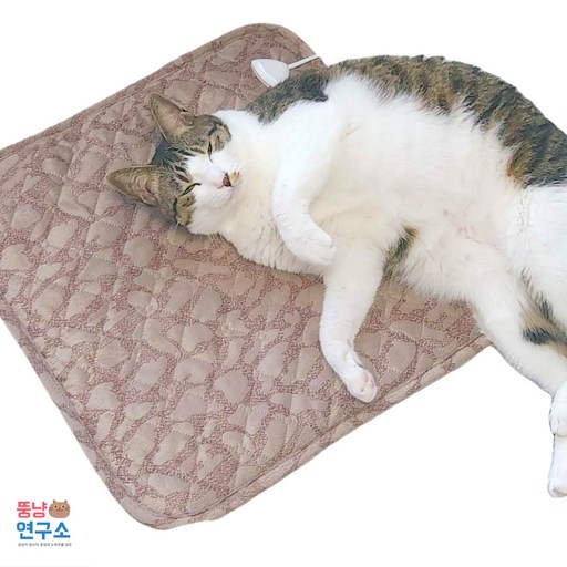 [국내생산+타이머 온도조절 가능] 뚱냥연구소 고양이 전기방석