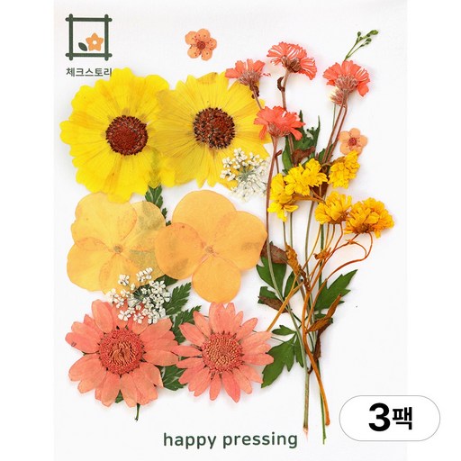 체크스토리 압화 컬러가든시리즈 누름꽃 꽃송이 압화재료 공예