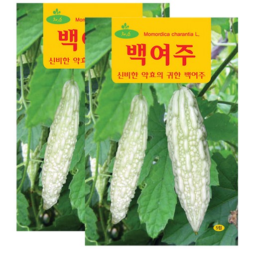 세인화분 백여주 5립 - 국산 국내산 여주씨앗 여주씨