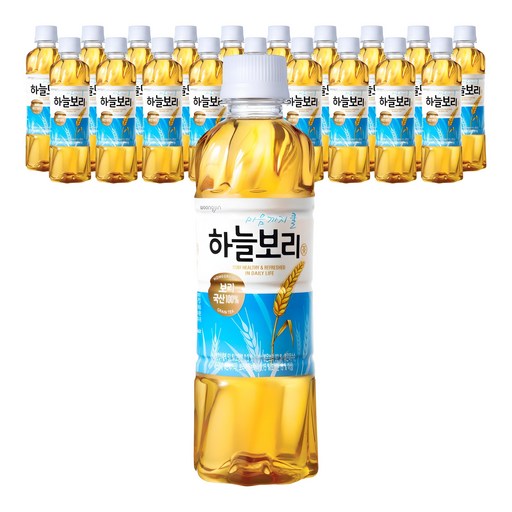 하늘보리 차 음료