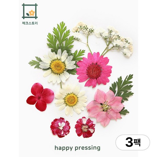 체크스토리 압화 컬러가든시리즈 누름꽃 꽃송이 압화재료 공예