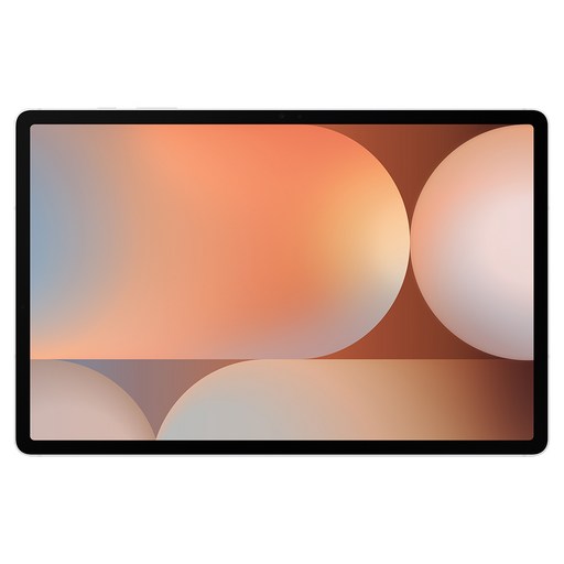삼성전자 갤럭시탭 S10 플러스 256GB/512GB, Wi-Fi, 256GB, 플래티넘 실버