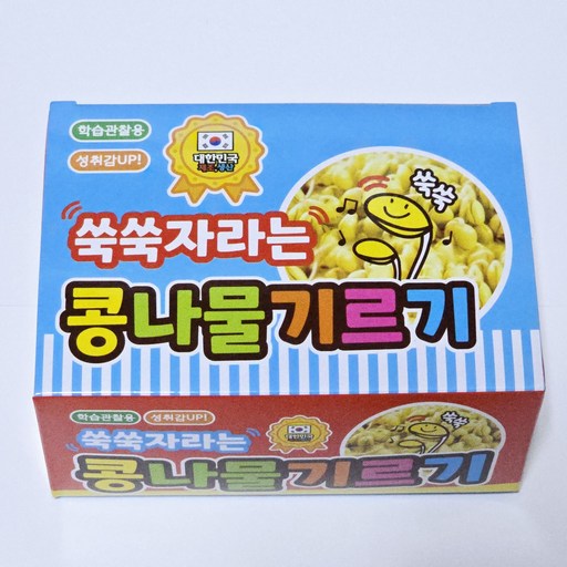 콩나물기르기 학습관찰용 콩나물시루 키트 콩나물 재배기 가정용