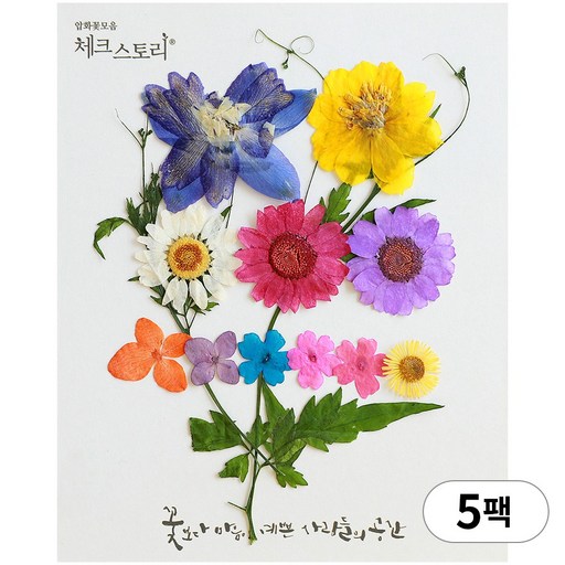 체크스토리 압화 누름꽃 꽃송이 압화공예 종합팩