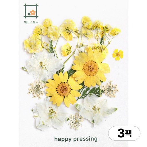 체크스토리 압화 컬러가든시리즈 누름꽃 꽃송이 압화재료 공예