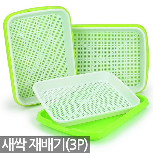 세인화분 새싹 재배기 - 씨앗 채소 키우기 수경 식물 플라스틱 모종 트레이 캣그라스 육묘판 보리 귀리 밀 키우기