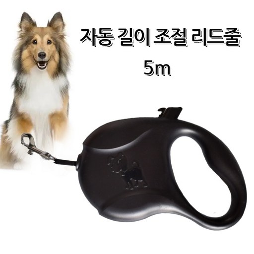 LOVFIR 고양이 강아지 자동줄 휴대용 자동 감기 리드줄 편안한 산책 필수템