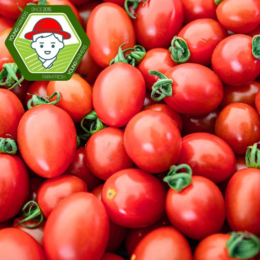 우리네농산물 부여 굿뜨래 대추방울토마토2kg(4번과) GAP / mini tomato, 1개, 2kg(4번과)