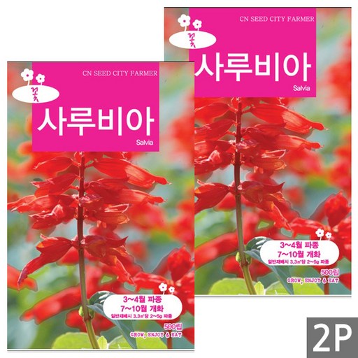 세인화분 사루비아 500립 - 중형