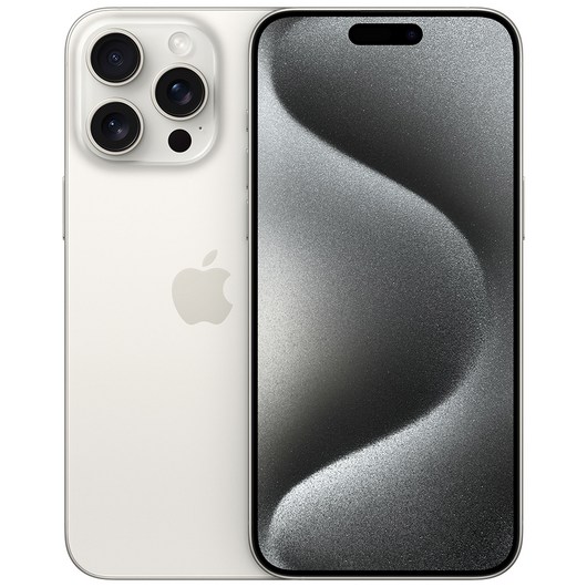 Apple 정품 아이폰 15 Pro Max 자급제, 화이트티타늄, 1TB
