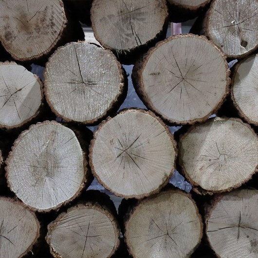 수입벽난로 잘마른 고급참나무 30cm 절단목장작 (배송비 협의), 1개