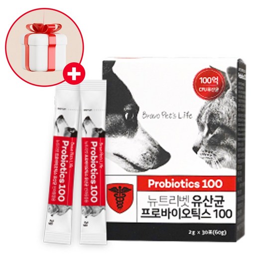 프로바이오틱스 고양이 강아지 유산균 100억 분말스틱30포, 1개