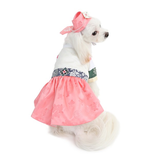 이츠독 반려동물용 연희공주 색동한복, 혼합색상, M, 1개