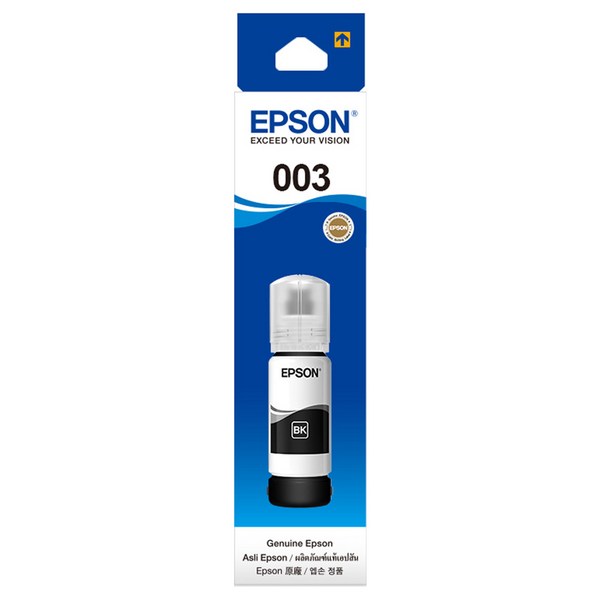 엡손 잉크 T00V100